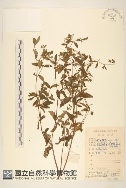 豨簽藏品圖，第1張