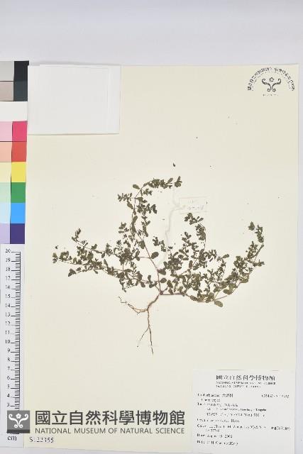 登錄號:S122355藏品圖，第1張