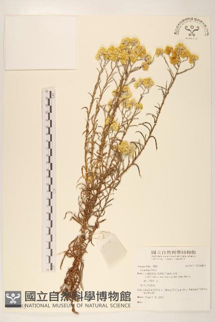 登錄號:S136855藏品圖，第1張