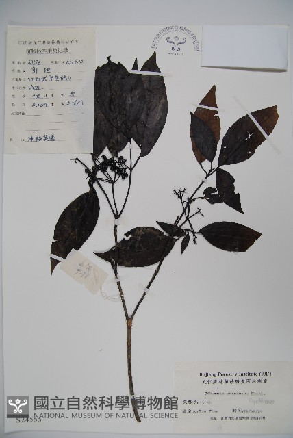 高山莢迷藏品圖，第1張