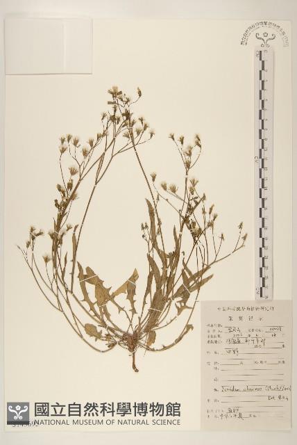 登錄號:S143695藏品圖，第1張