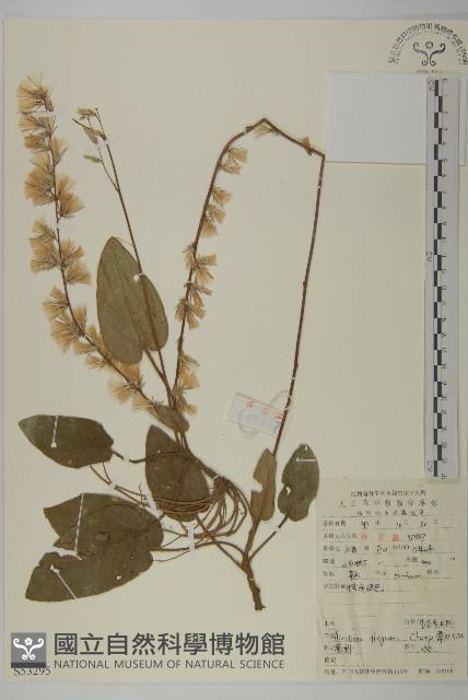 香鬼督郵藏品圖，第1張