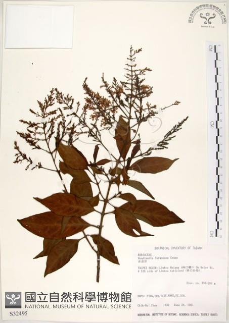 水金京藏品圖，第1張