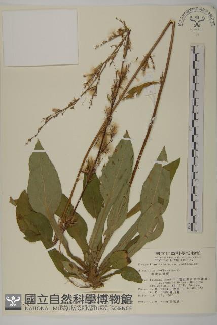 臺灣鬼督郵藏品圖，第1張