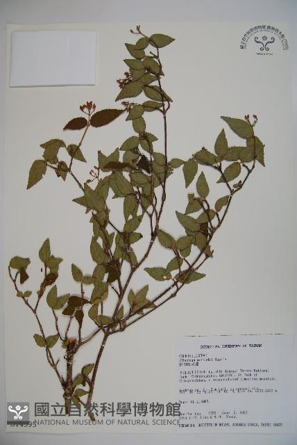 Accession Number:S014595 Collection Image, Figure 1, Total 2 Figures