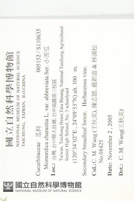 小苦瓜藏品圖，第1張