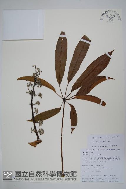 登錄號:S105635藏品圖，第1張