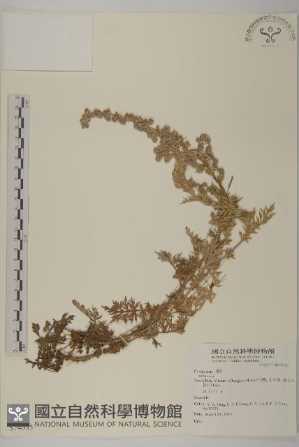 登錄號:S074035藏品圖，第1張