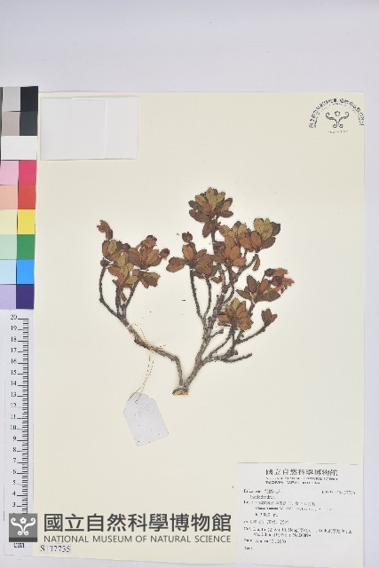 登錄號:S137735藏品圖，第1張