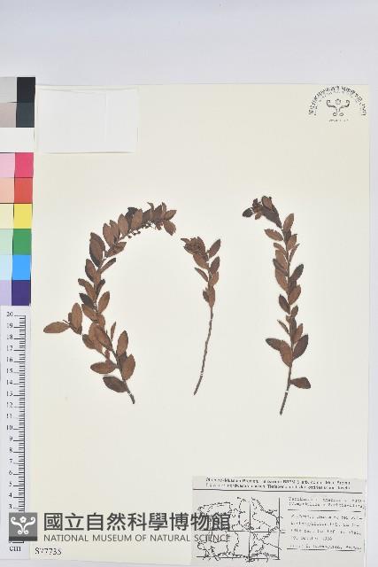 登錄號:S077735藏品圖，第1張