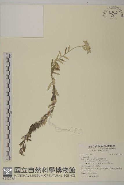 登錄號:S122235藏品圖，第1張