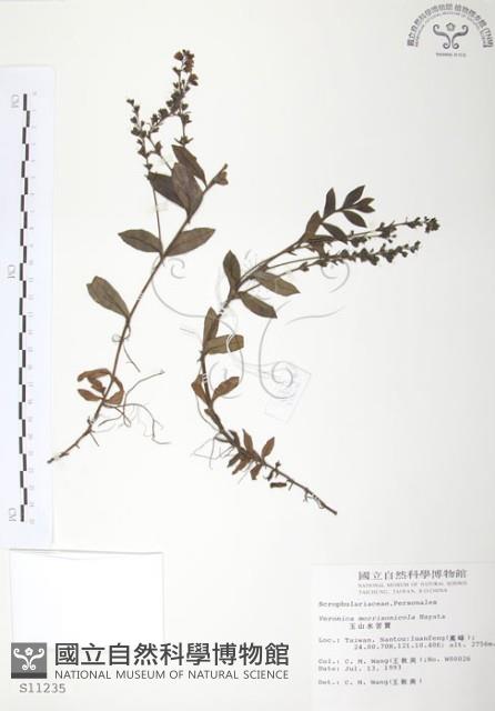 玉山水苦賈藏品圖，第1張