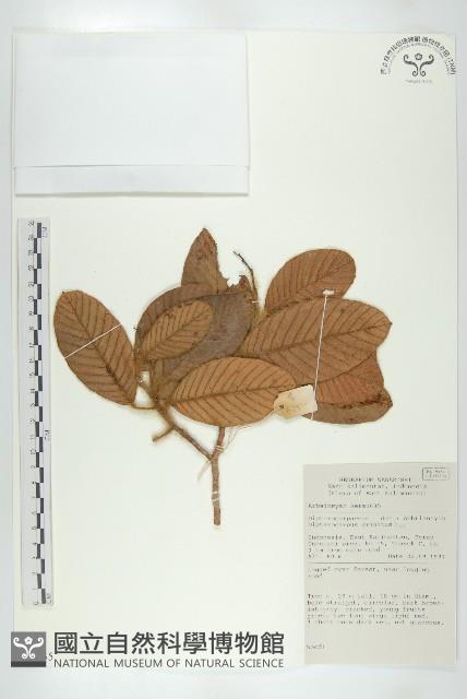 登錄號:S055235藏品圖，第1張