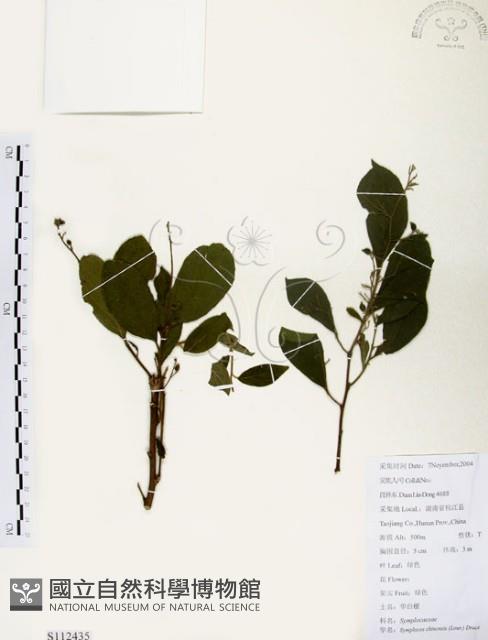 灰木藏品圖，第1張