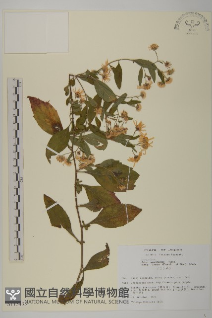 登錄號:S113435藏品圖，第1張