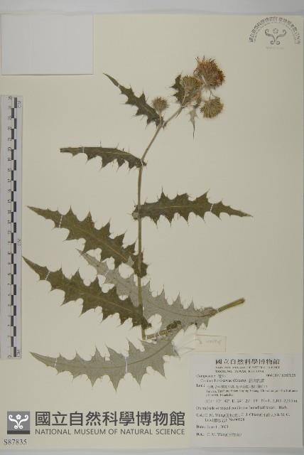 細川氏薊藏品圖，第1張