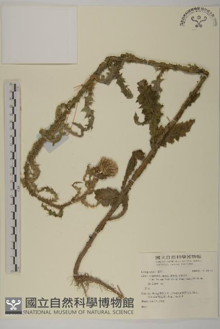 登錄號:S140535藏品圖，第1張