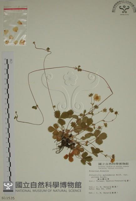 登錄號:S011535藏品圖，第1張
