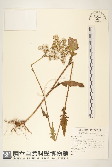登錄號:S123535藏品圖，第1張