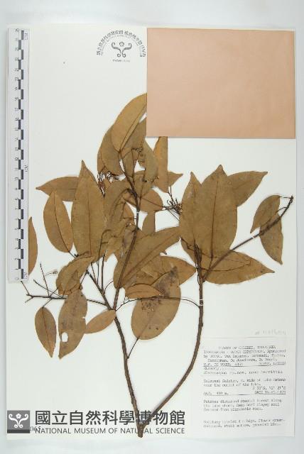 登錄號:S047065藏品圖，第1張