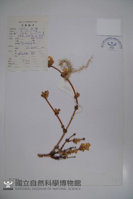 登錄號:S022765藏品圖，第1張