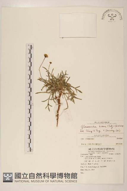 香茹藏品圖，第1張