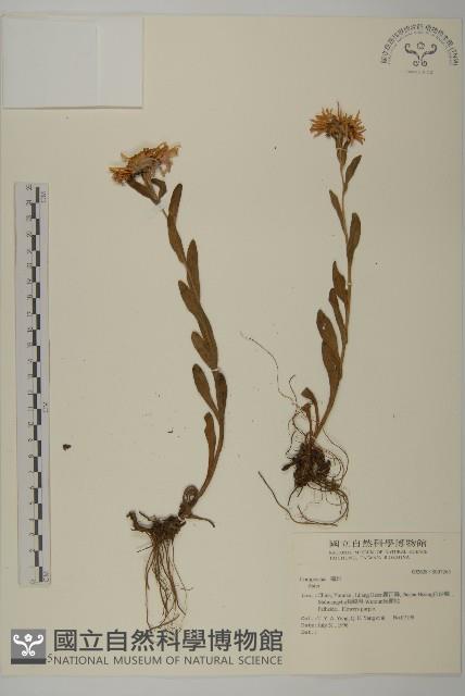 登錄號:S037265藏品圖，第1張