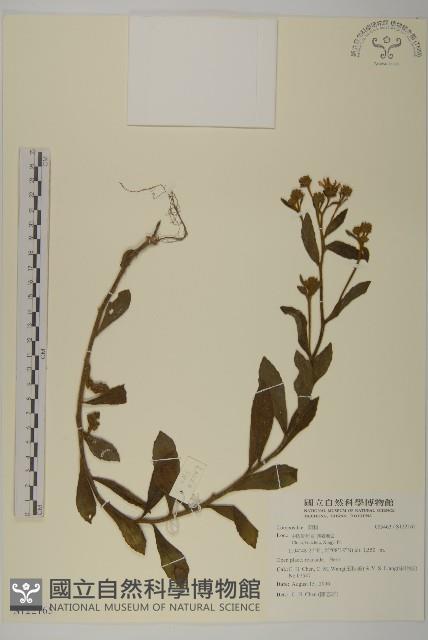 登錄號:S122165藏品圖，第1張