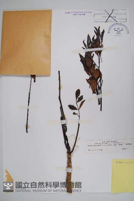 登錄號:S047165藏品圖，第1張