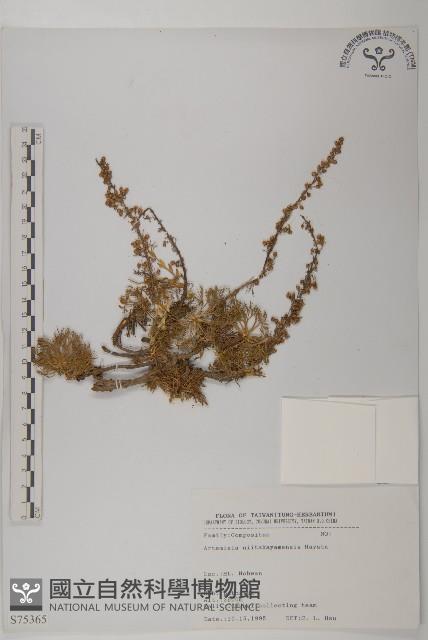 高山艾藏品圖，第1張