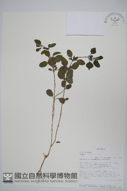 登錄號:S095965藏品圖，第1張