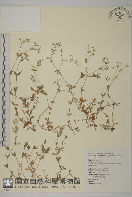 Accession Number:S062645 Collection Image, Figure 1, Total 2 Figures