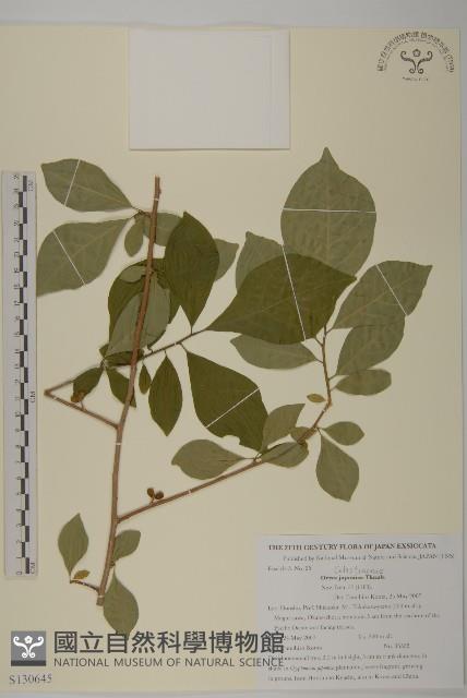 常山藏品圖，第1張