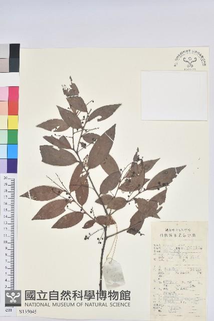 Accession Number:S135045 Collection Image