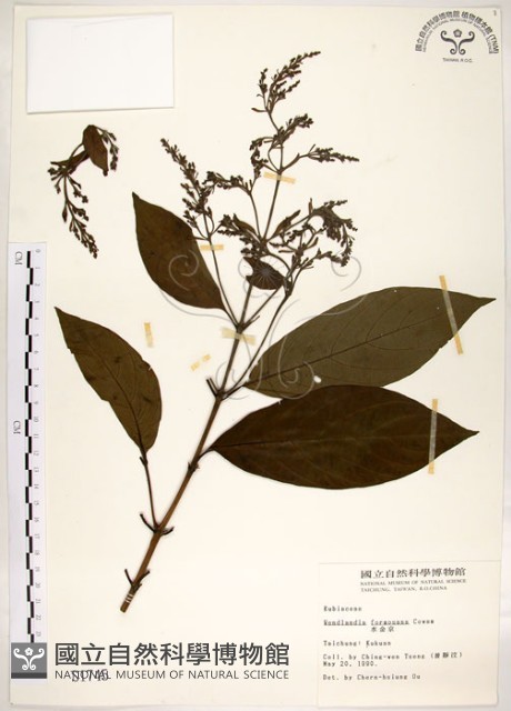 水金京藏品圖，第1張