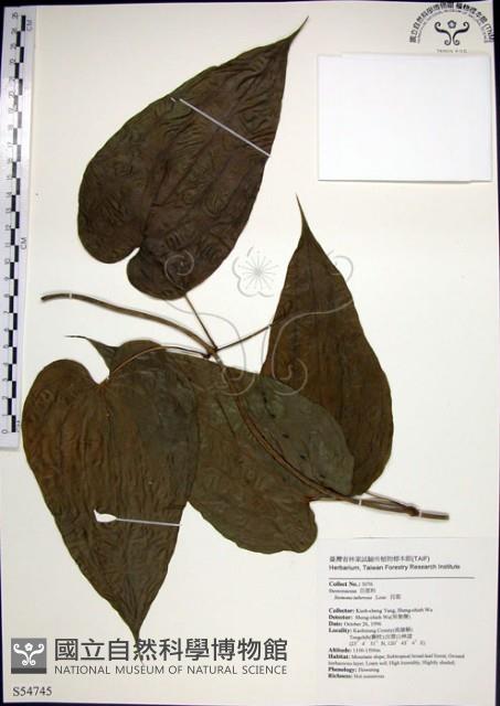 百部藏品圖，第1張