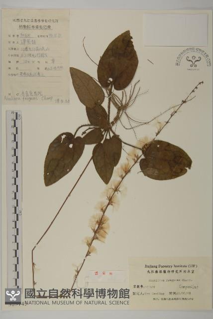 香鬼督郵藏品圖，第1張