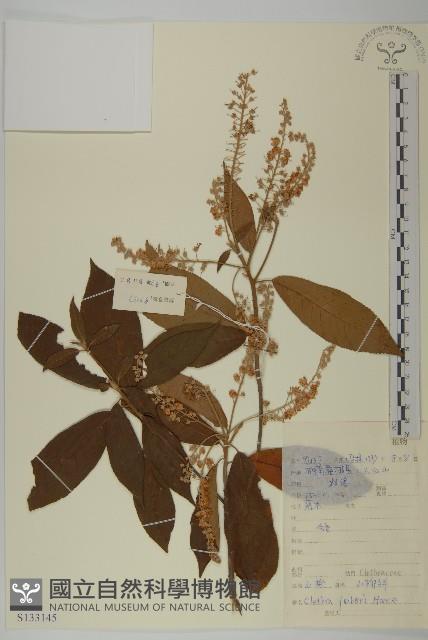 山柳藏品圖，第1張