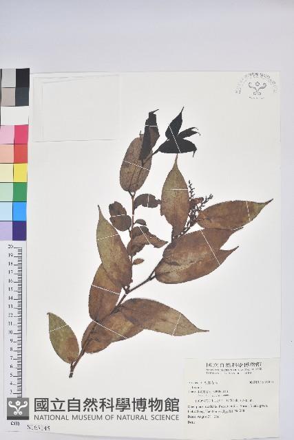 登錄號:S163145藏品圖，第1張