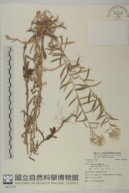 登錄號:S083145藏品圖，第1張