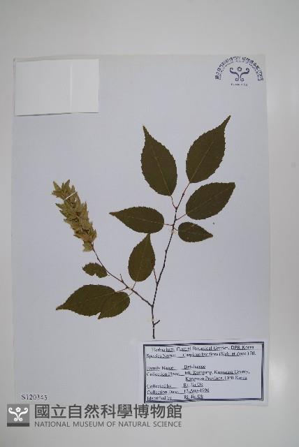 登錄號:S120345藏品圖，第1張