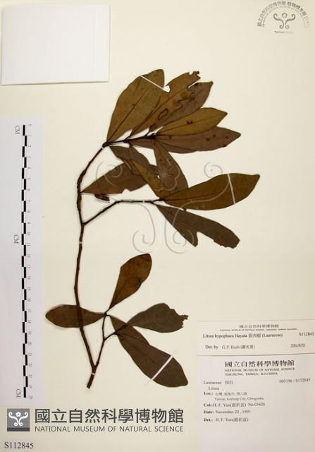 Accession Number:S112845 Collection Image