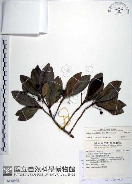 樹杞藏品圖，第1張