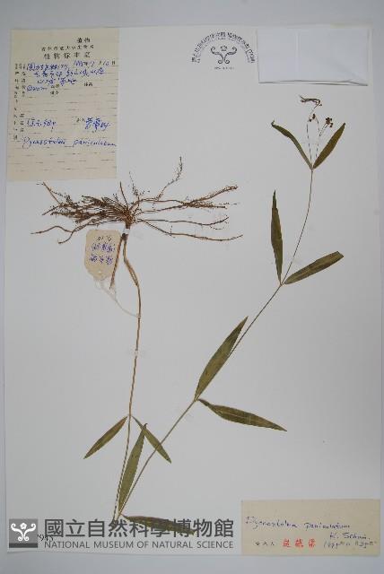 登錄號:S027945藏品圖，第1張