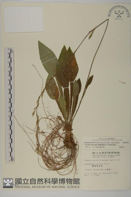 臺灣鬼督郵藏品圖，第1張