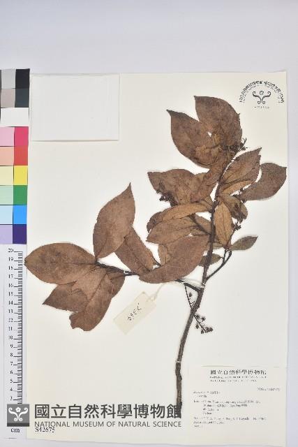 登錄號:S042675藏品圖，第1張