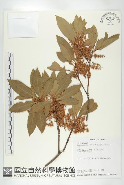 登錄號:S013675藏品圖，第1張