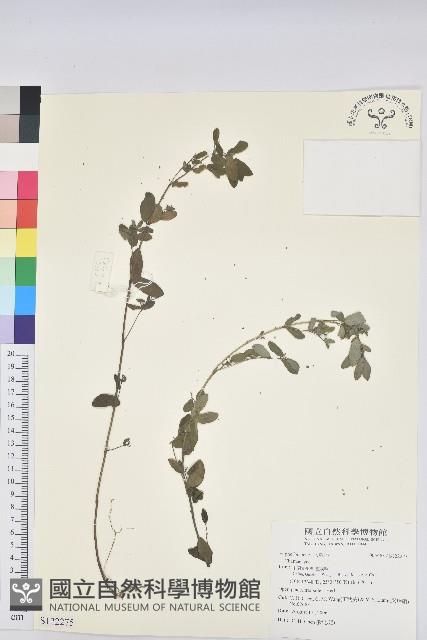 登錄號:S122275藏品圖，第1張