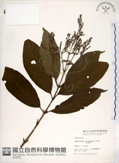 水金京藏品圖，第1張