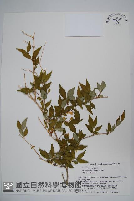 登錄號:S074575藏品圖，第1張